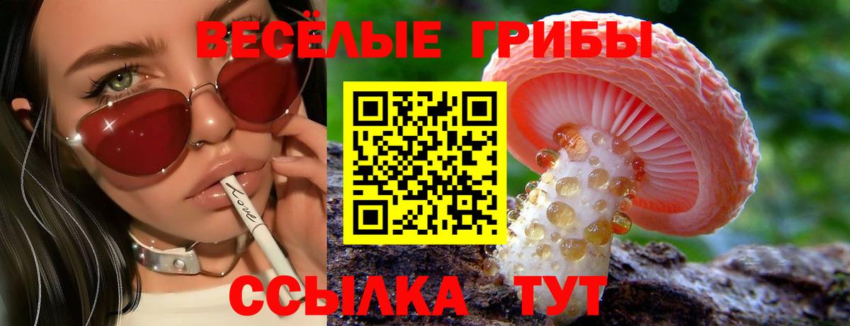 Псилоцибиновые грибы Cubensis  Вход с VPN  Пенза  Псилоцибиновые грибы GOLDEN TEACHER 